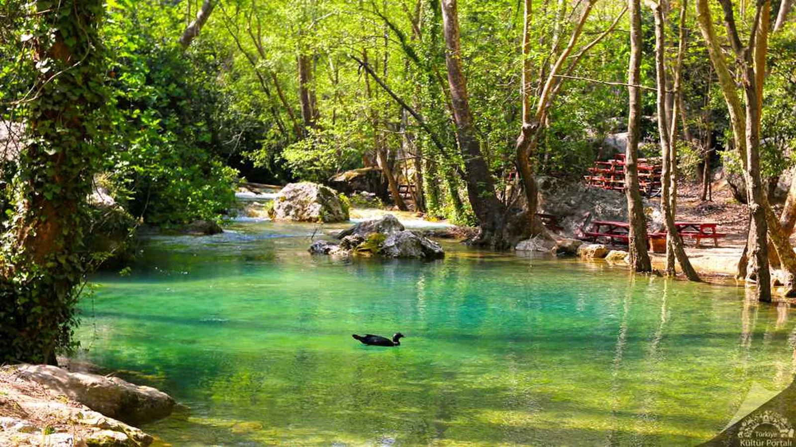 Kayacı Vadisi ve Dokuzoluk: Erdemli'nin Serin Kamp & Piknik Cenneti